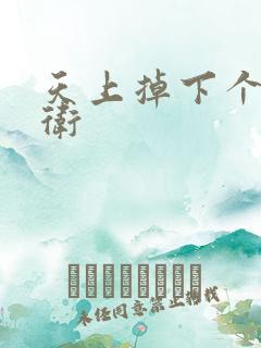 天上掉下个影卫卫