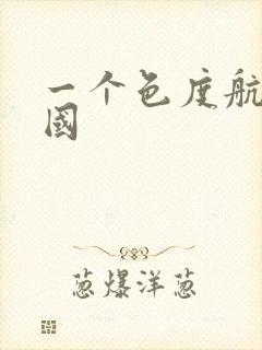 一个色度航导美国