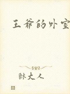 王爷的外室