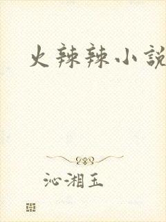 火辣辣小说全集