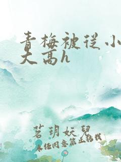 青梅被从小玩到大高h