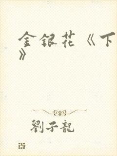 金银花《下厨房》