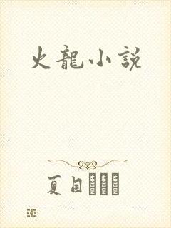 火龙小说