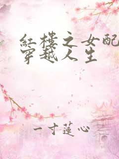 红楼之女配角的穿越人生