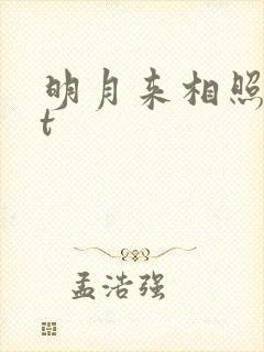 明月来相照txt