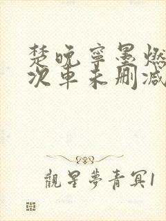 楚晚宁墨燃第一次车未删减