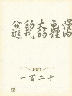 公的大龟慢慢挺进我的体内