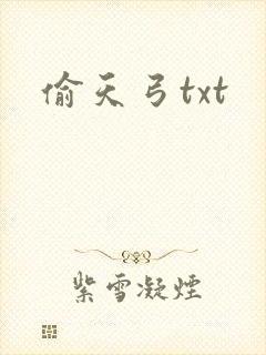 偷天弓txt