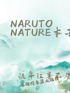 NARUTO NATURE本子