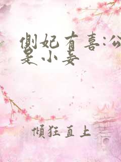 侧妃有喜:公主是小妾