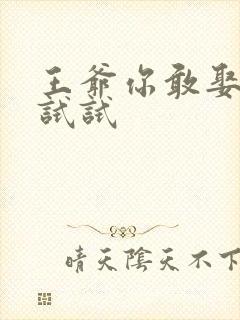 王爷你敢娶小三试试