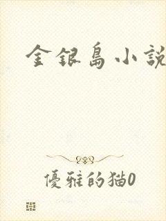 金银岛小说