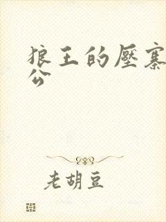 狼王的压寨小相公