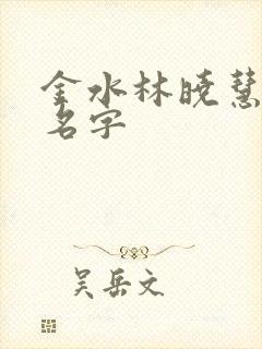 金水林晓慧小说名字