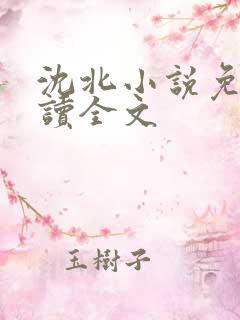 沈北小说免费阅读全文