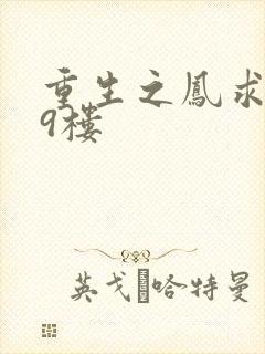 重生之凤求凰19楼