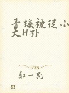 青梅被从小摸到大H补