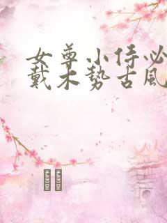 女尊小侍必须佩戴木势古风