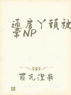 通房丫头被肉日常NP