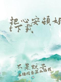 把心安顿好txt下载