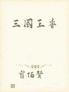 三国王睿