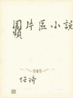 图片区小说区视频