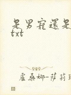 是男宠还是禁脔txt