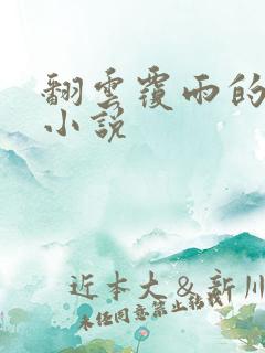 翻云覆雨的秘密小说