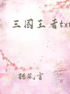 三国王者txt