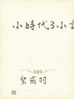 小时代3小说