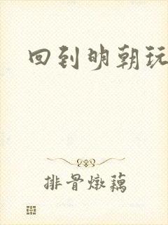 回到明朝玩网游