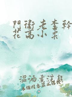 门卫老李干了校花高小柔