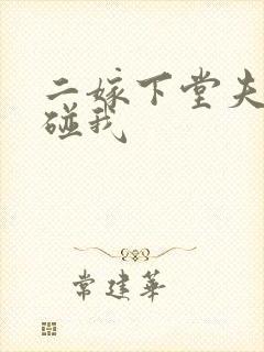 二嫁下堂夫君别碰我