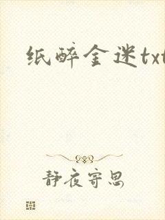 纸醉金迷txt