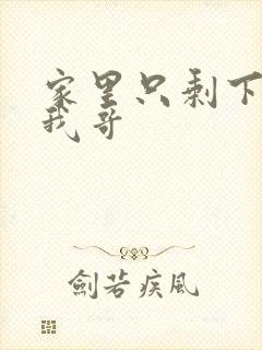 家里只剩下我和我哥