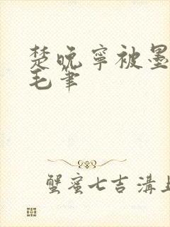 楚晚宁被墨燃塞毛笔