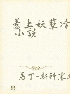 惹上妖孽冷殿下 小说