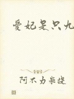 爱妃是只九尾猫