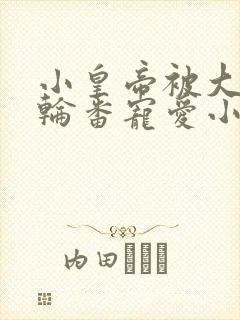 小皇帝被大臣们轮番宠爱小说