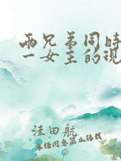 两兄弟同时拥有一女主的现言