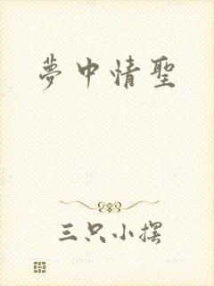 梦中情圣