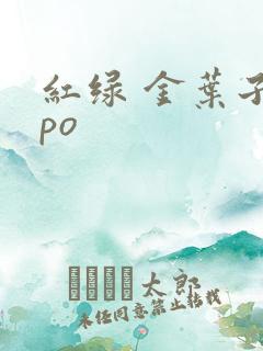 红绿 金叶子 po