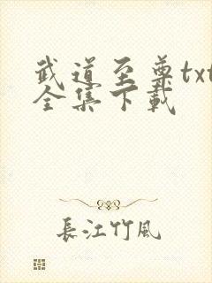 武道至尊txt全集下载