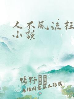 人不风流枉少年小说
