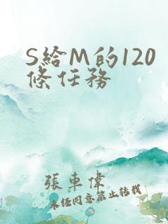 S给M的120条任务