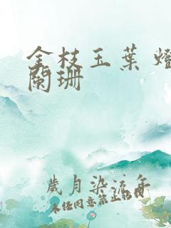 金枝玉叶 灯火阑珊