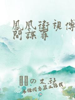 凤凰卫视傅晓甜间谍罪