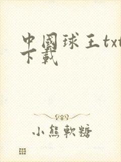 中国球王txt下载