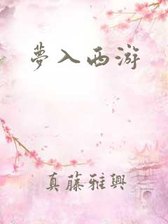 梦入西游