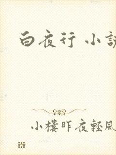 白夜行 小说